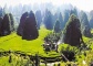 Forest of Thousands of Mountain Peaks Guizhou